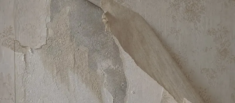 Alte, strukturierte Tapete wird von einer Wand in einem Schweizer Altbau abgeloest