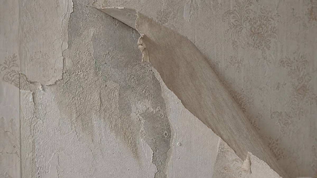 Alte, strukturierte Tapete wird von einer Wand in einem Schweizer Altbau abgeloest